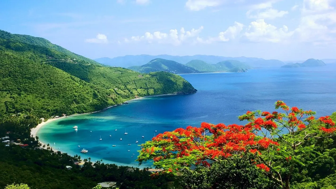 先进高性能